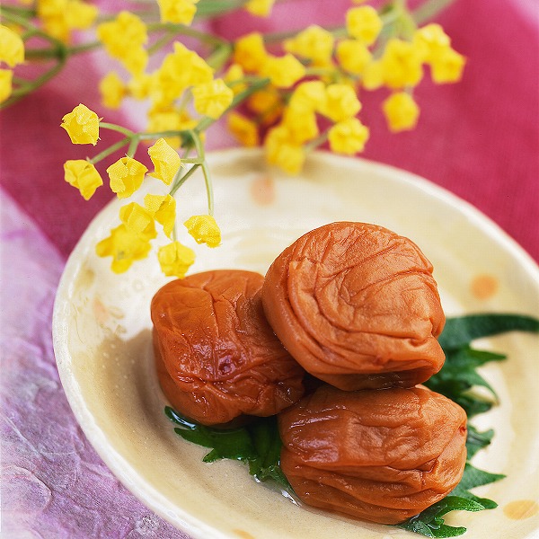 裁判の主張責任とは・・・ 債権回収の魂